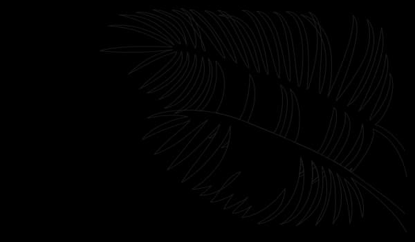 drawing of palm leaves