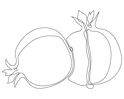 drawing of pomegranates