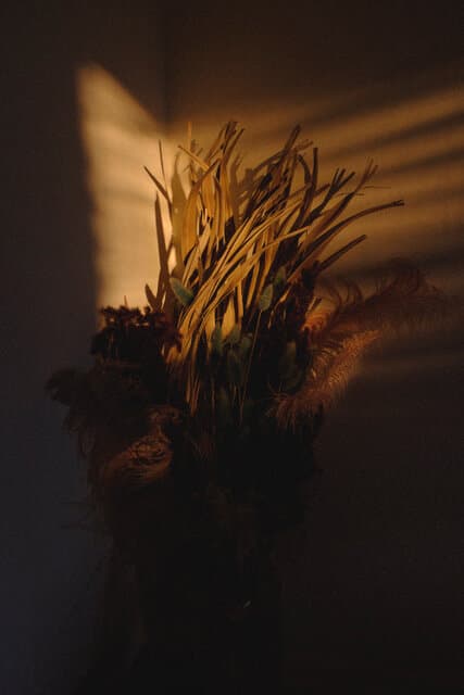 Sasha Netchaev - Photograph