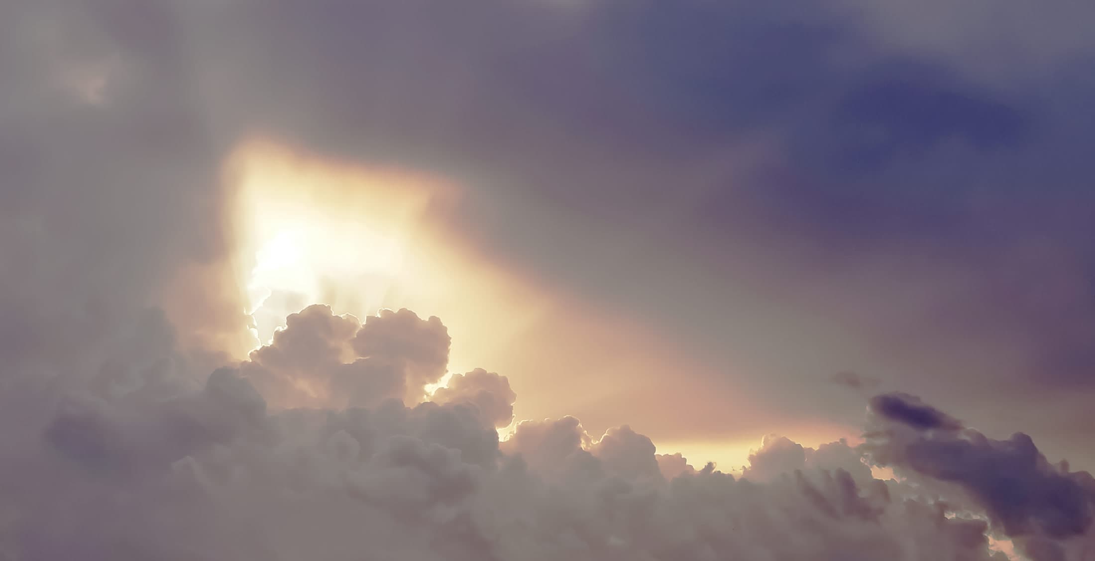 Header Image