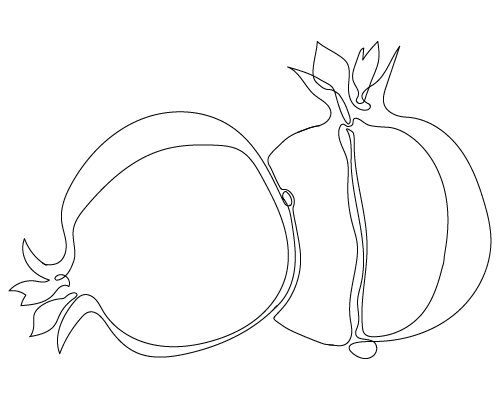 drawing of pomegranates