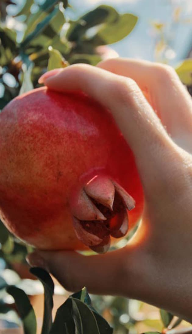 4 Ways to Reimagine Your Rosh Hashanah