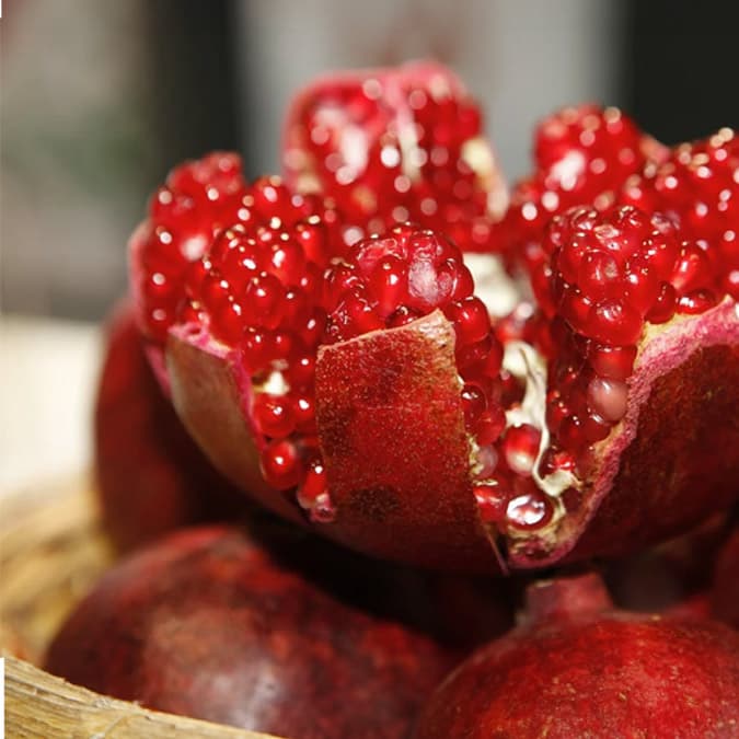 Pomegranate
