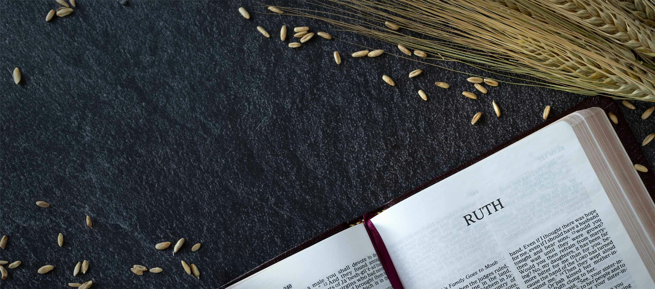 Book of Ruth on table with wheat