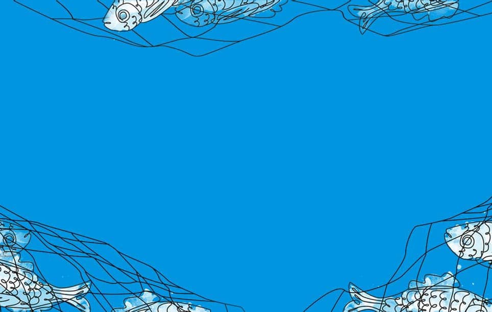 drawing of fish in net