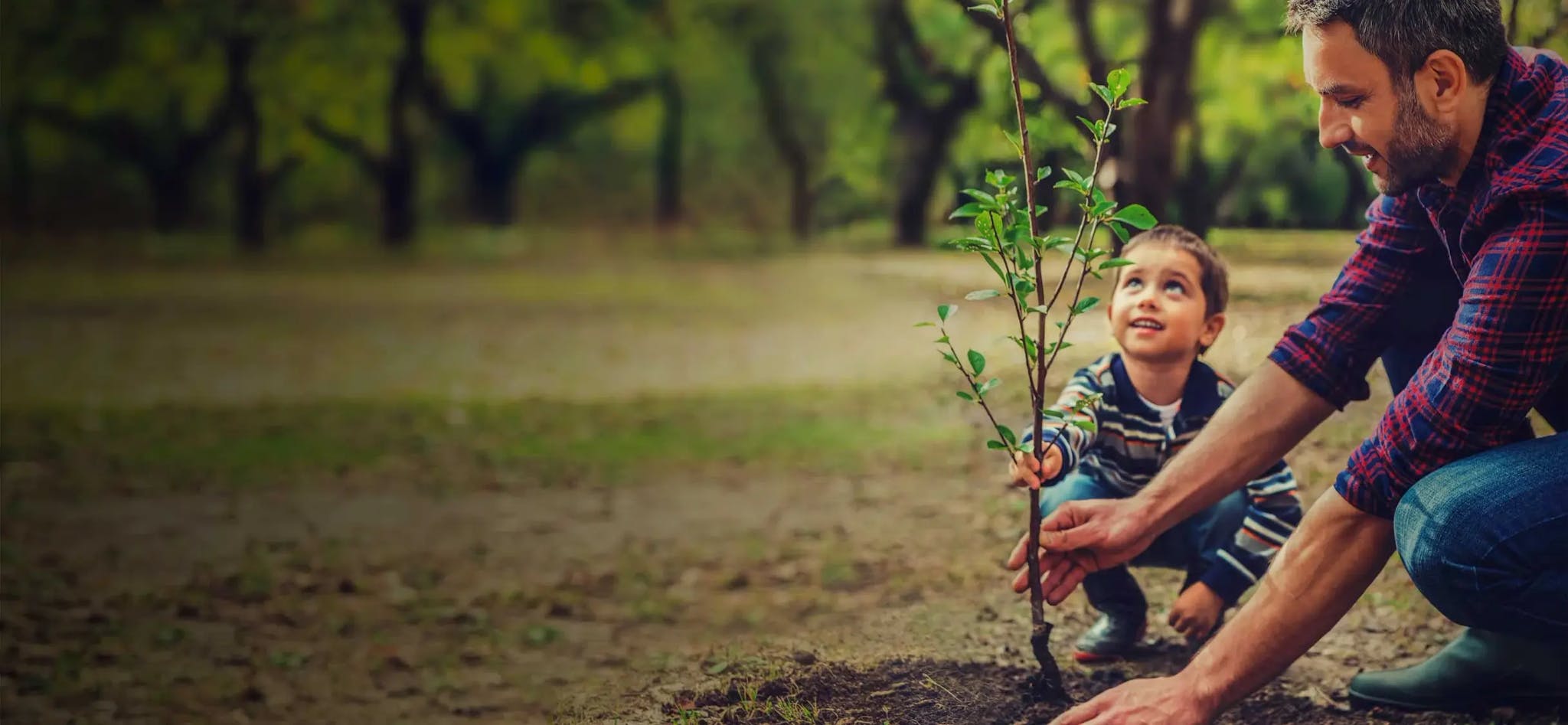 man and child planting a tree