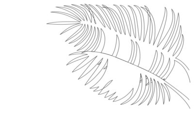 drawing of palm leaves