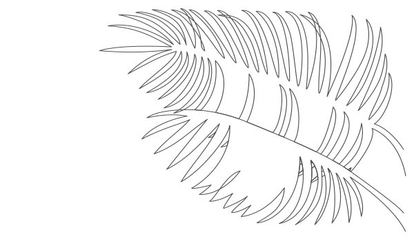 drawing of palm leaves