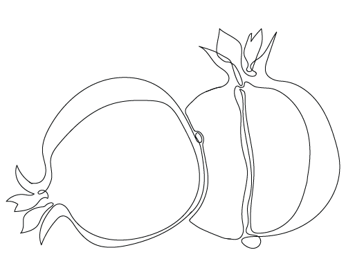 drawing of pomegranates